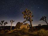 Joshua Tree 024